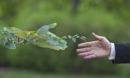 Eco vintages the relevance